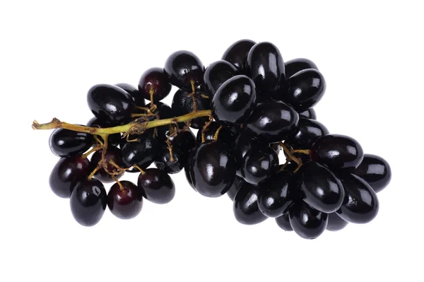 Grapes close up — Stock Photo, Image