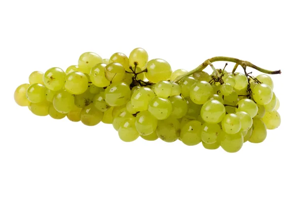 Uvas verdes Close Up — Fotografia de Stock