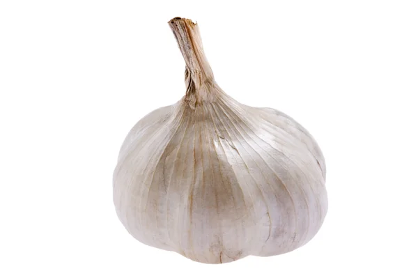 White garlic isolated on white — Stock Photo, Image