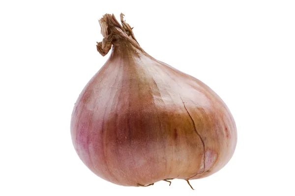 Yellow onion isolated on white — Stock Photo, Image