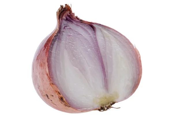 Yellow onion macro — Stock Photo, Image