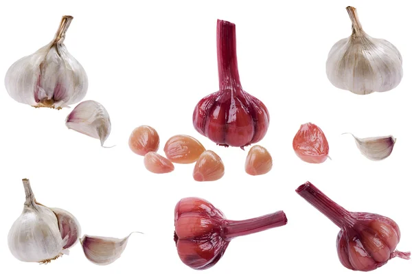Fresh garlic close up — Stock Photo, Image