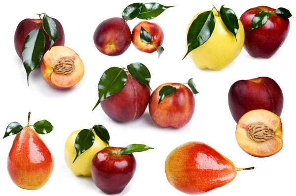 Färsk persika och aprikos — Stockfoto