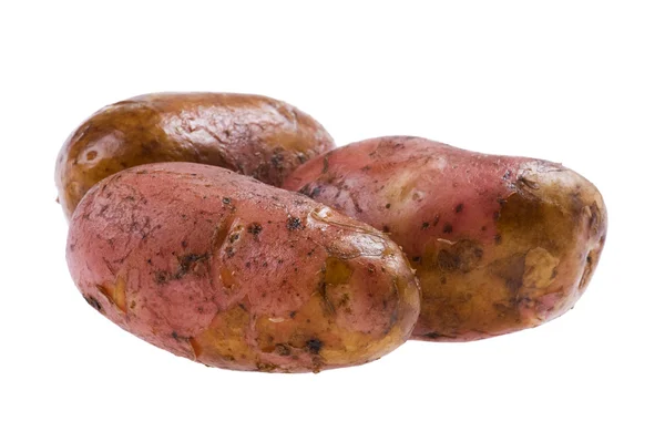 Картопля крупним планом — стокове фото