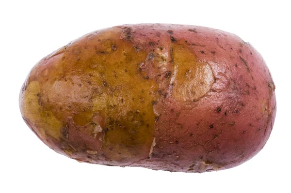 Kartoffelmakro — Stockfoto