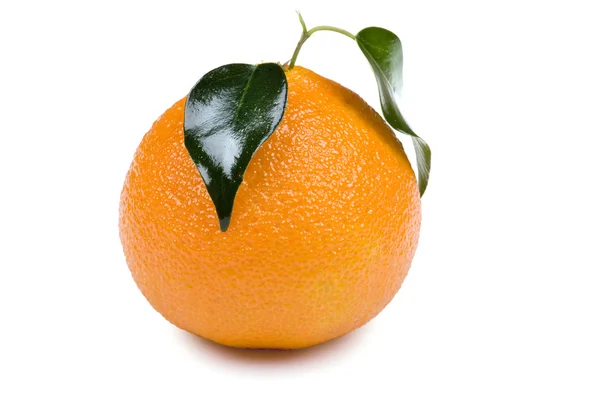 Mandarinenmakro — Stockfoto