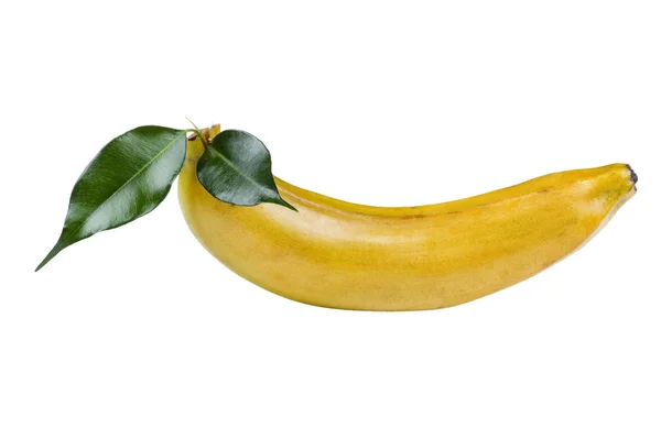 Banana macro — Stock Photo, Image