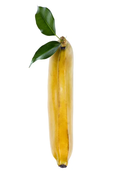 Банан на белом макросе — стоковое фото