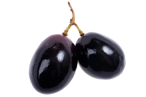 Dark grapes macro — Stock Photo, Image