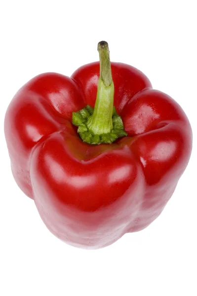 Pepper macro on white — Stock Photo, Image