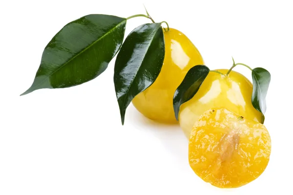 Prune jaune gros plan sur blanc — Photo