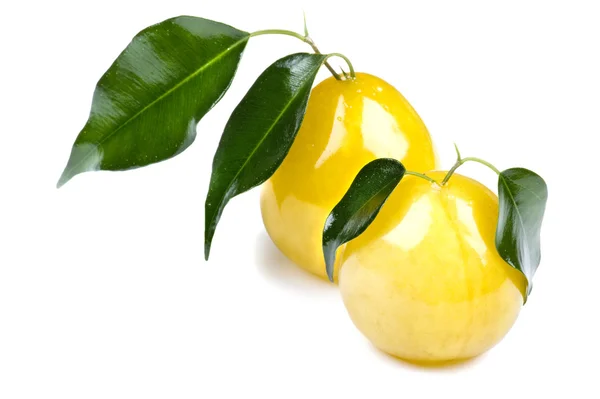 Macro prune jaune sur blanc — Photo