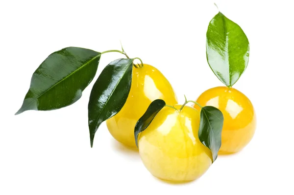 Macro prune jaune sur fond blanc — Photo