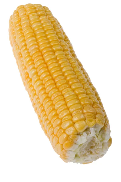 Gros plan sur le maïs — Photo