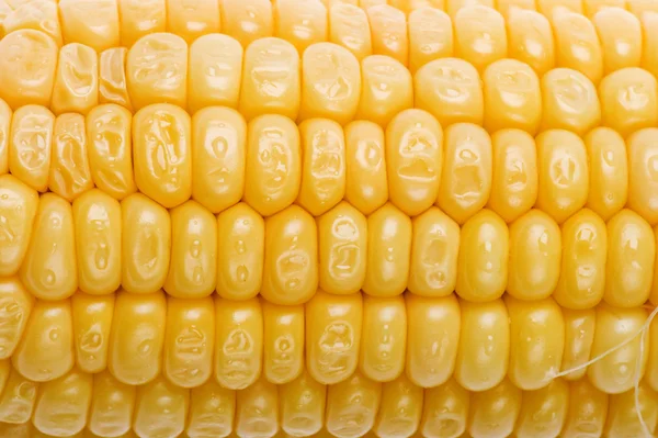 Kukorica makró — Stock Fotó