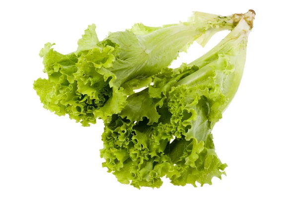 Lettuce on white — Stock Photo, Image