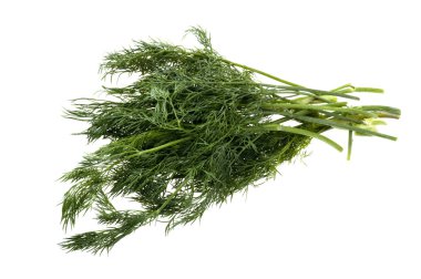 Dill.