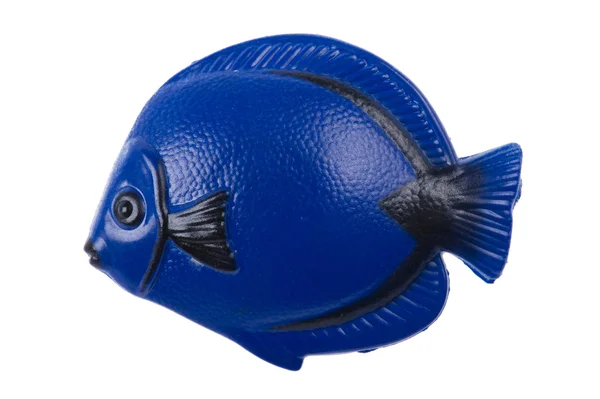 Fish magnet macro — Stock Photo, Image