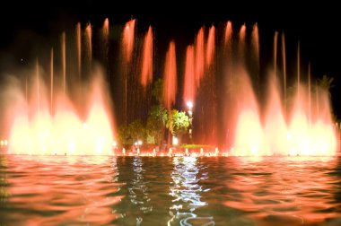 Fountain in night clipart