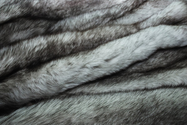 Furs of polar fox