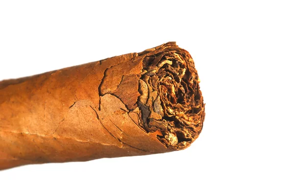 古巴雪茄的特写 — 图库照片