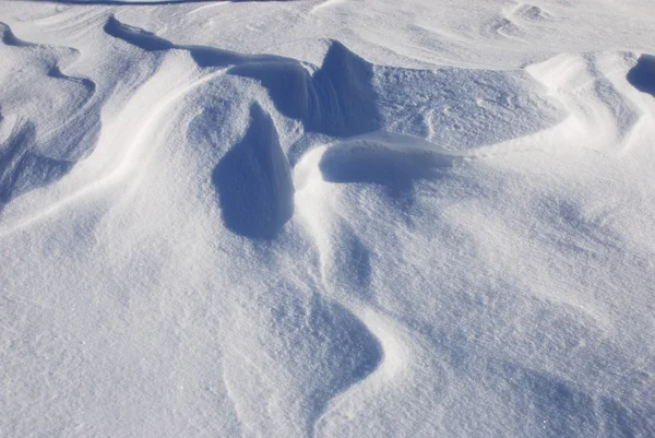 Φρέσκο πεσμένο χιόνι — Φωτογραφία Αρχείου