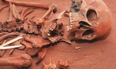 Skeleton remains clipart