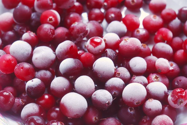 Red cranberries — Stock Photo, Image