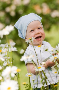 Smiling boy on the meadow clipart