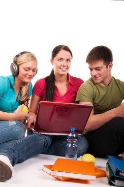 Group of students having fun, doing home work clipart