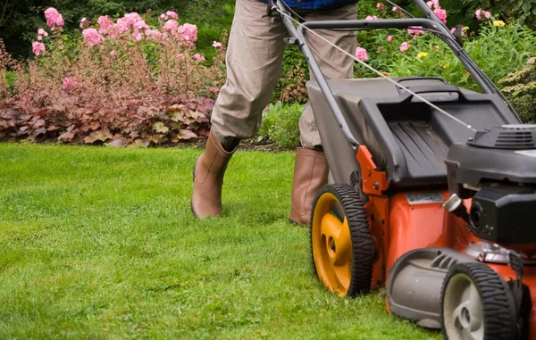 Senior man mowing the lawn — Stock Photo, Image