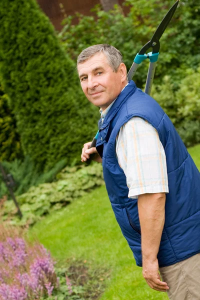 Senior mannen trädgårdsmästare klippa en häck — Stockfoto
