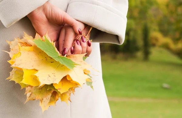 Жінка тримає осіннє листя дерева в лісі — стокове фото