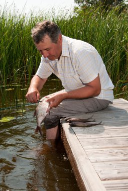 Senior man scaling fish clipart