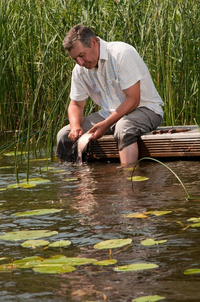 Senior man scaling fish — Stock Photo, Image
