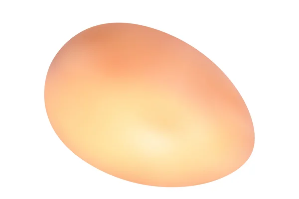 Keltainen kananmuna — vektorikuva