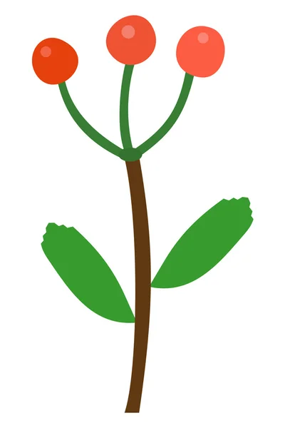 Ilustração de ashberry vermelho em branco —  Vetores de Stock