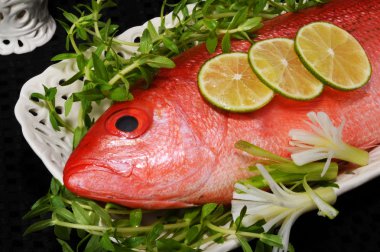 Red Snapper Fish. clipart