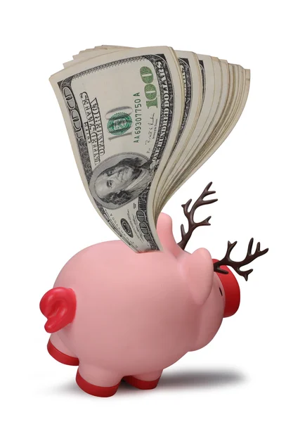 Pengar på bak en piggy bank. — Stockfoto