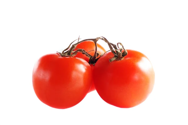 Einige Tomaten isoliert — Stockfoto