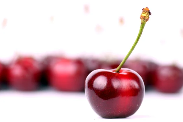 Солодкий cherrys — стокове фото