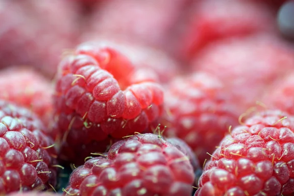 Γλυκό raspberrys — Φωτογραφία Αρχείου