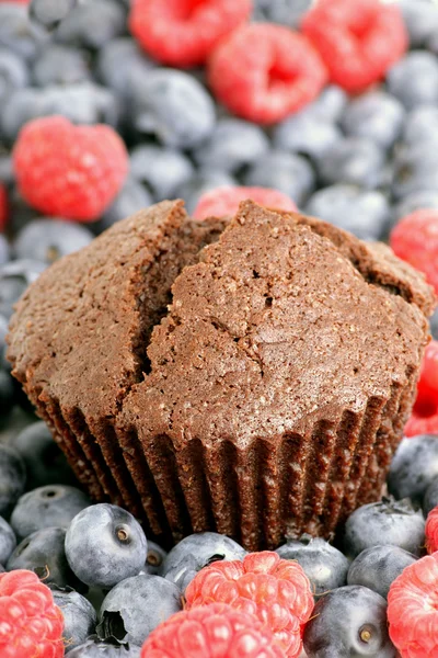Muffin on white — Stock Photo, Image