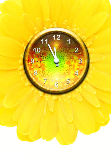 Horloge de fleurs — Photo