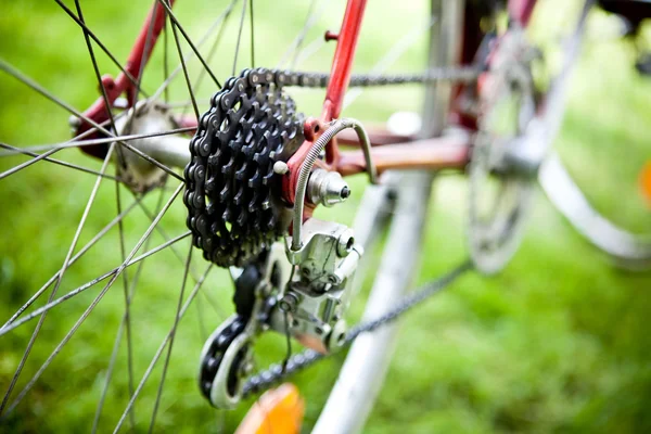 Задняя кассета велосипеда на колесе с цепью — стоковое фото
