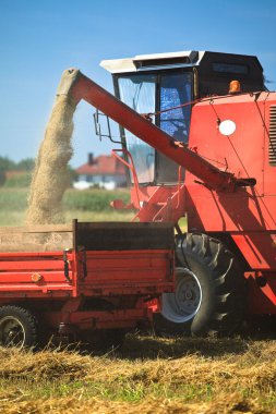 traktör ve buğday hasat Birleştir