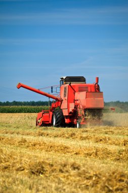 Red combine harvester working in a wheat field clipart