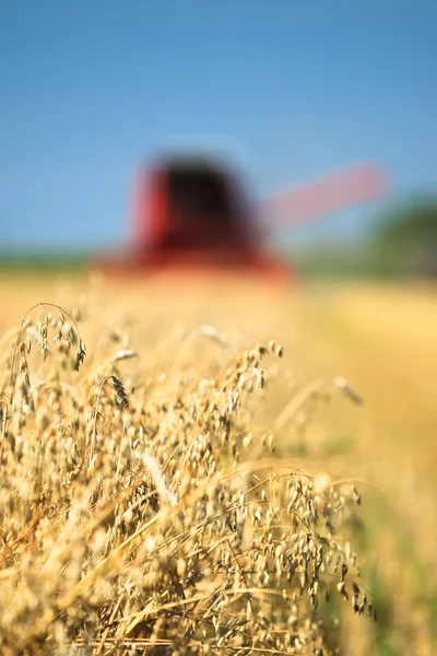 小麦田里的联合收割机 — 图库照片