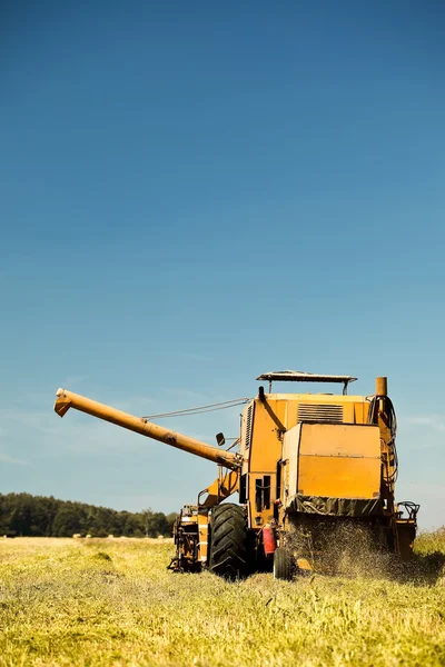 Geel combineren maaimachine werkt in een tarweveld — Stockfoto