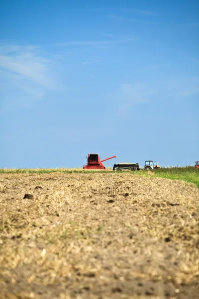 拖拉机和联合收割机收割小麦 — 图库照片